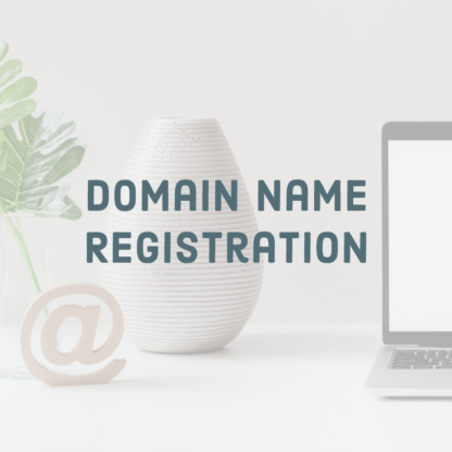 Domain Registration